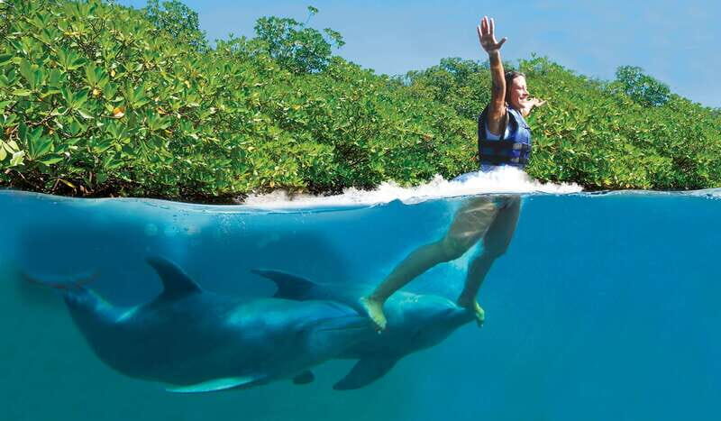 Riviera Maya: Swim with dolphins Supreme - The Itinerary: A Step-by-Step Breakdown