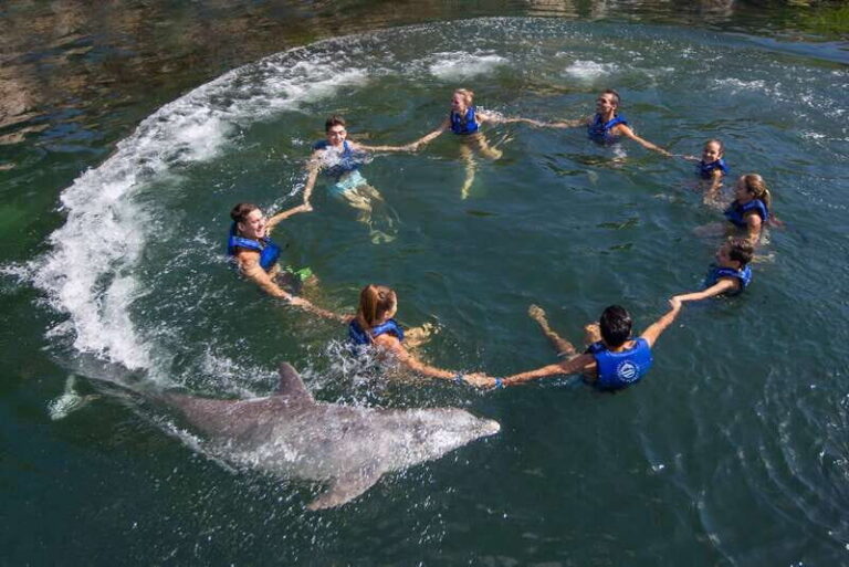 Riviera Maya: Swimming Experience with Dolphins - The Location and Logistics