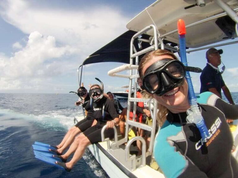 Riviera Maya: Whale Shark Tour with Lunch and Drinks - The Whale Shark Encounter
