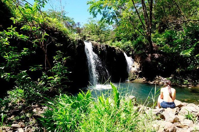 Road to Hana in Mercedes Van: Waterfalls and Black Sand Beach - Whats Included and Whats Not