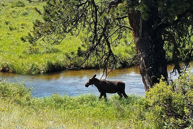 Rocky Mountain National Park and Estes Park Tour from Denver Winter and Spring - Transportation, Group Size, and Overall Value