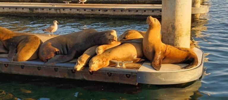 Romantic Boat Cruise with Wine & Cheese or Surprise Dinner - Practical Details: Timing, Location, and Parking