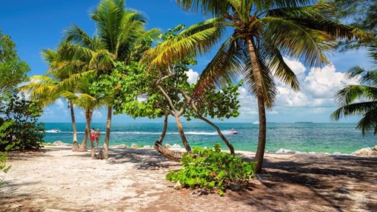 Round Trip Transportation to Key west from Miami - Detailed Breakdown of the Experience
