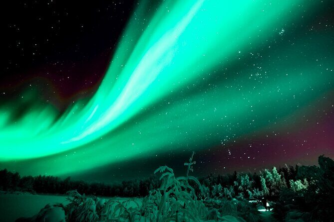 Rovaniemi: Private Aurora Tour with Guaranteed Sightings - Why Choose This Tour?