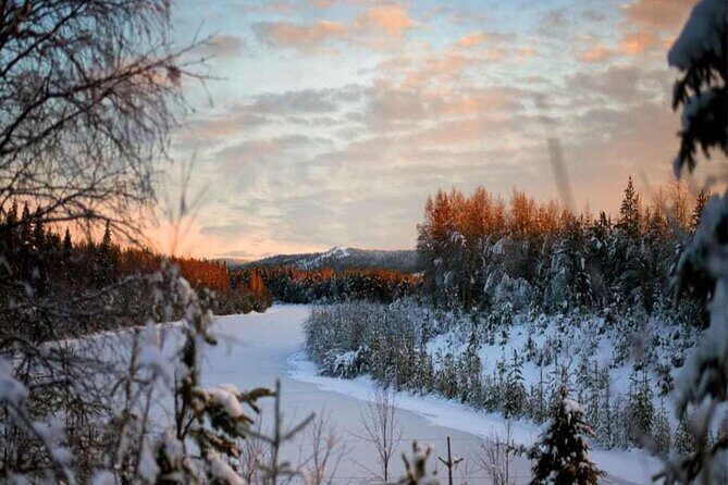 Rovaniemi: Winter Wonderland Vikaköngäs Hiking Tour & BBQ - Who Will Love This Tour?