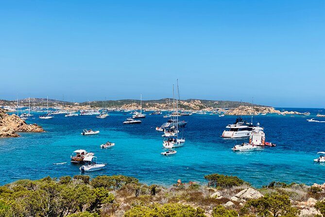 Sailing Cruise in Maddalena Archipelago from Maddalena - Food and Drink — Is It Worth It?