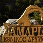 Samaria Gorge Hiking from Chania with proffesional hiking guide - Authentic Experiences and Tips from Reviews