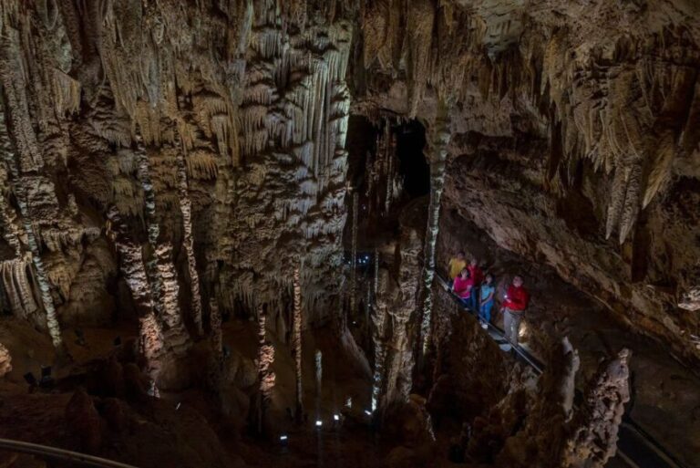 San Antonio: Discovery Tour at Natural Bridge Caverns - The Practicalities: Getting the Most Out of Your Visit