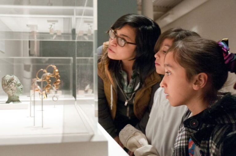 San Antonio: San Antonio Museum of Art Entry Ticket - Highlights of the Museum Experience