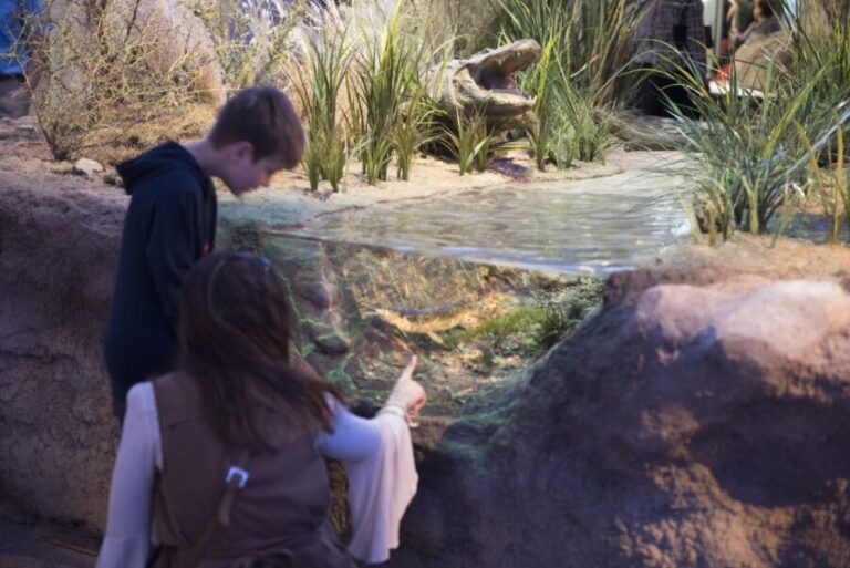 San Antonio: Witte Museum Admission Ticket - Practical Details & Tips
