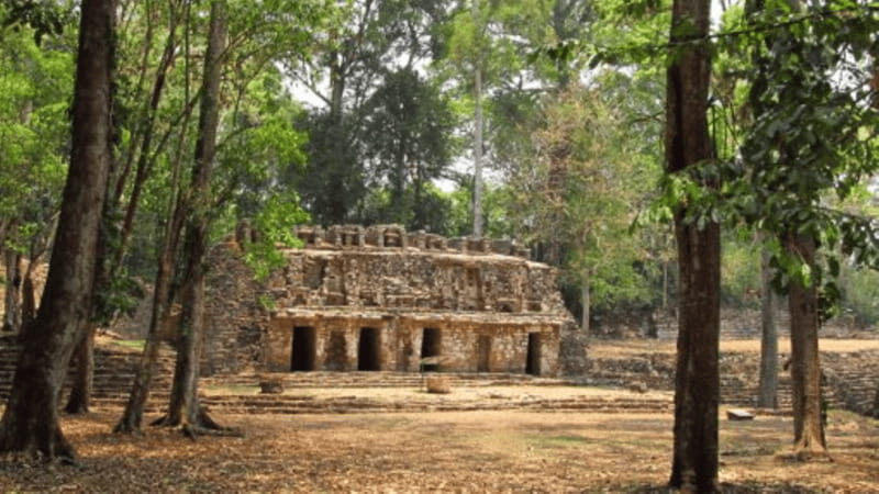 San Cristobal: 3 Days Expedition of North Lacandona Jungle - Who Is This Tour Best For?