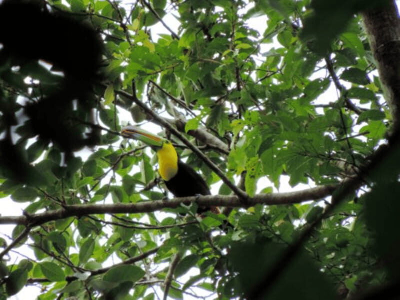 San Cristobal: 3 Days Nature Tour Southern Selva Lacandona - What Makes This Tour Valuable?