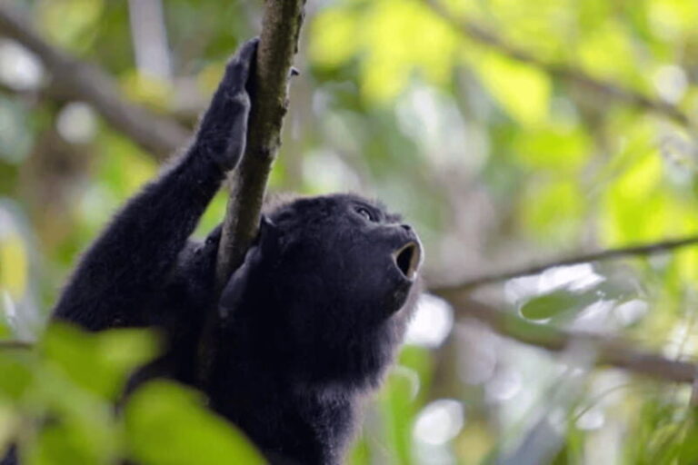 San Cristobal: 5 Days Jungle Adventure - Practical Details and Value