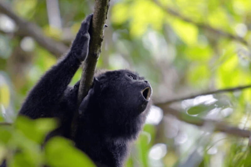 San Cristobal: 5 Days Jungle Adventure - Practical Details and Value