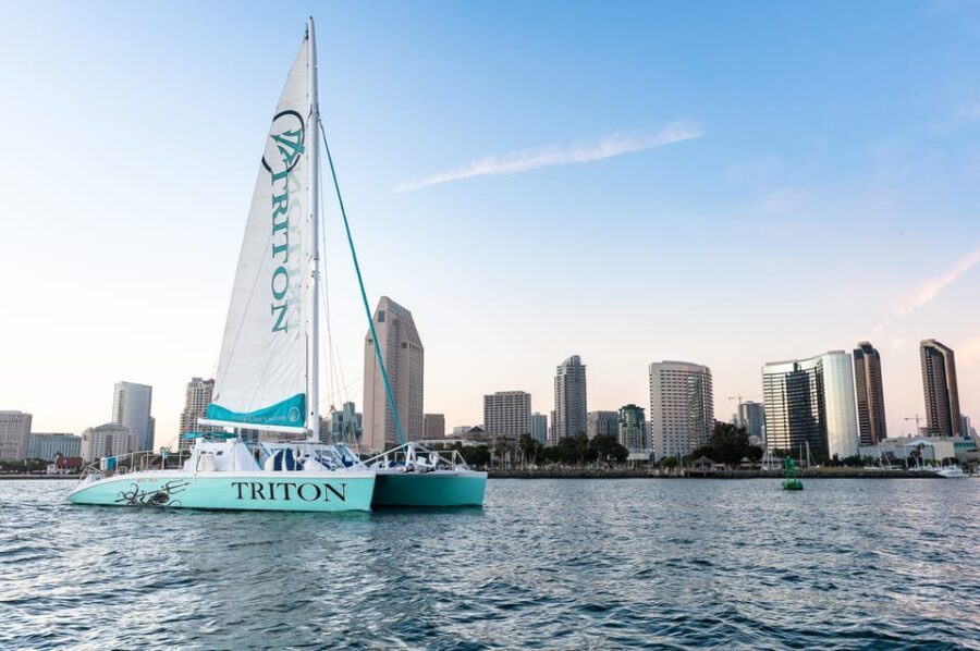 San Diego Harbor Cruise: 2.5 hour Catamaran Cruise - Value and Pricing Analysis