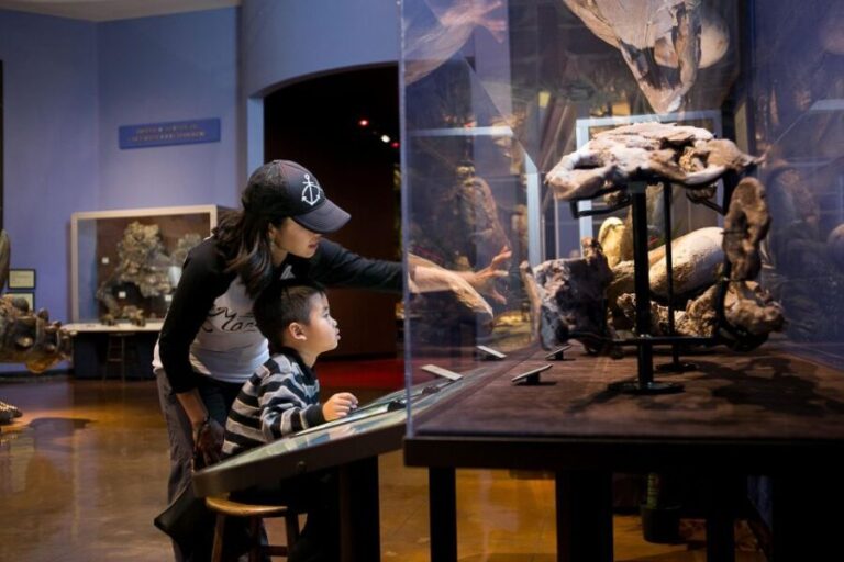 San Diego: San Diego Natural History Museum Ticket - Value for Money and Visitor Insights