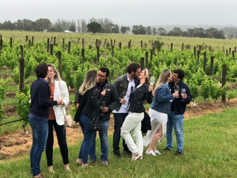 San Francisco: Napa Valley Half-Day Wine Tour with Tastings - Transportation and Group Size