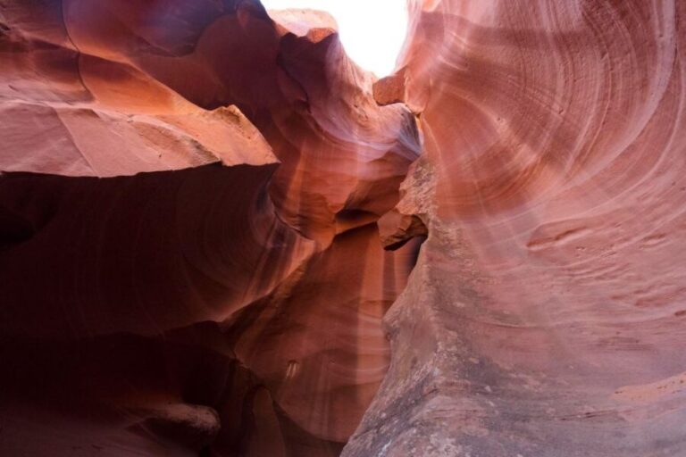 San Francisco: Yosemite, Las Vegas, Bryce & Zion, 6-Day Tour - Transportation & Comfort