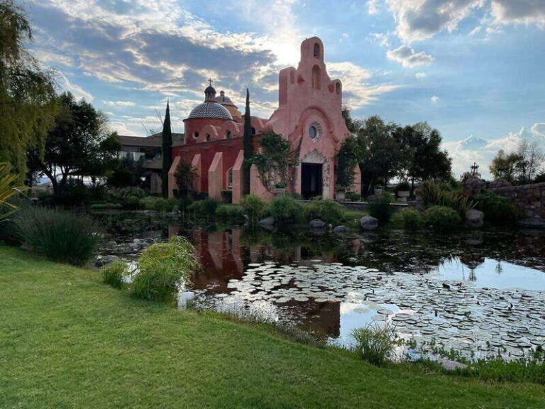 San Miguel de Allende: A Journey Through Vineyards - Additional Insights from Reviews