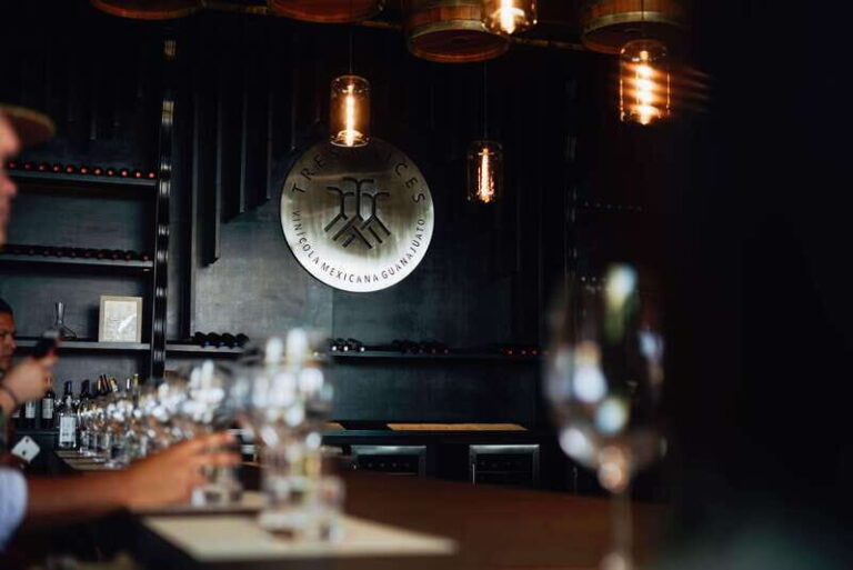San Miguel de Allende: Independence Valley Wine Route - An In-Depth Look at the Tour Experience