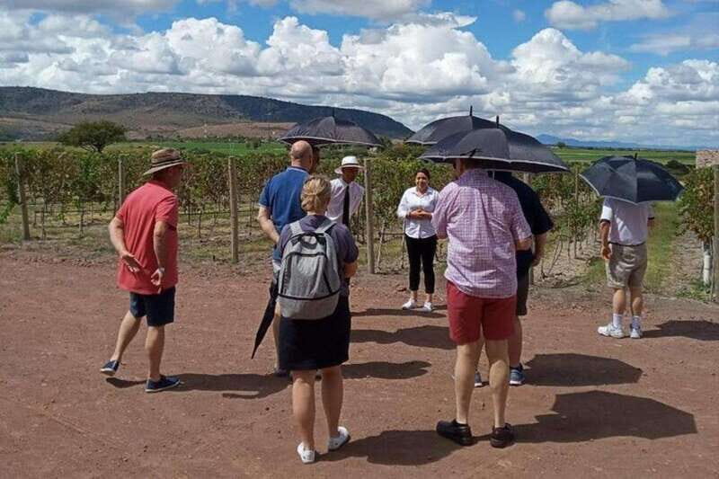 San Miguel de Allende: Local Vineyard Tour & Wine Tasting - The Itinerary in Detail