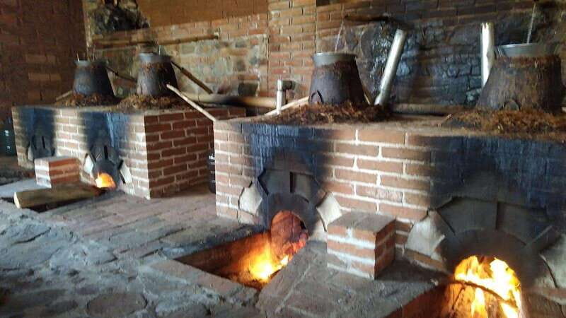 Santa Catarina Minas: Ancestral Mezcal Distillery Tour - Pricing and Value Analysis