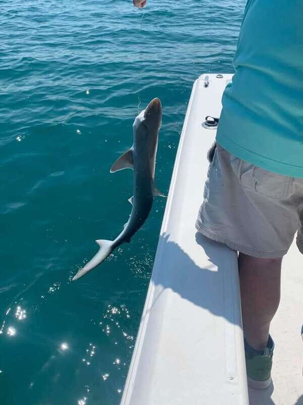 Sarasota Florida: Skyway Fishing Tours - Value for Money: Is It Worth It?