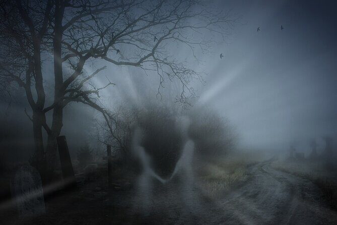 Scary Prague Walking Tour - The Experience: What You Can Expect