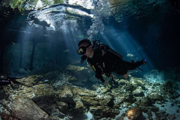 Scuba in 2 cenotes in a half-day - Detailed Itinerary and What to Expect
