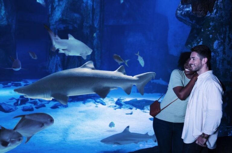 SEA LIFE Charlotte-Concord Aquarium General Admission - Final Thoughts on Value and Experience
