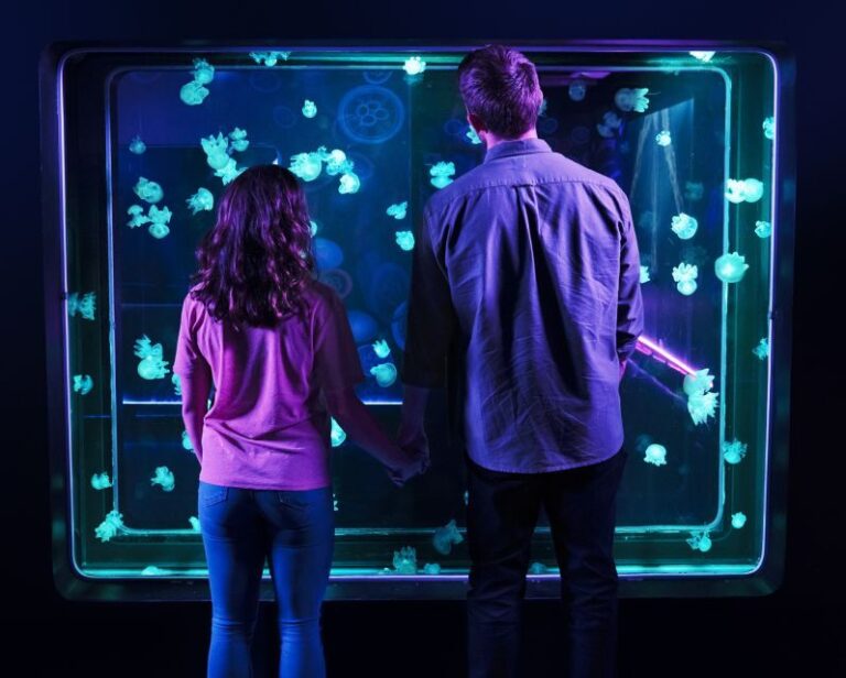 SEA LIFE Michigan Aquarium General Admission - The Exciting Journey Inside: What to Expect