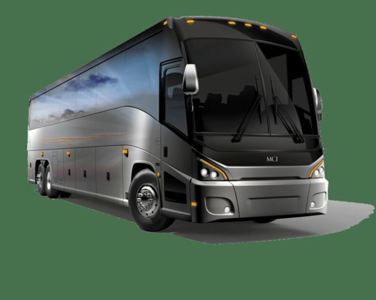 Seattle: Kingdome Transportation - What to Expect During Your Ride