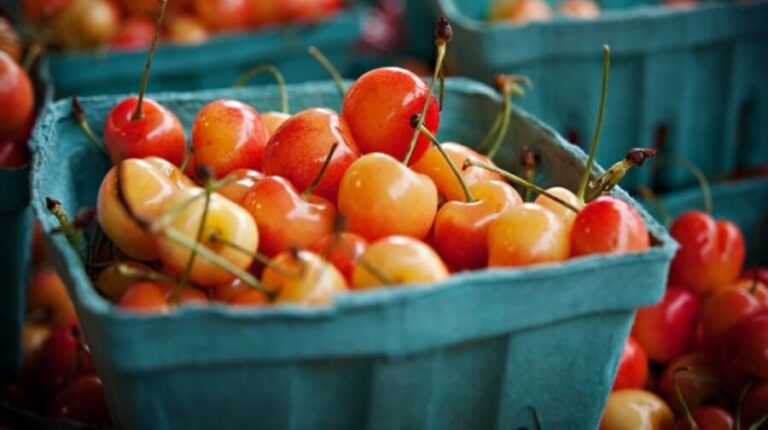 Seattle: Meet Me at the Market Food Tour - Highlighted Stops & Experience Breakdown
