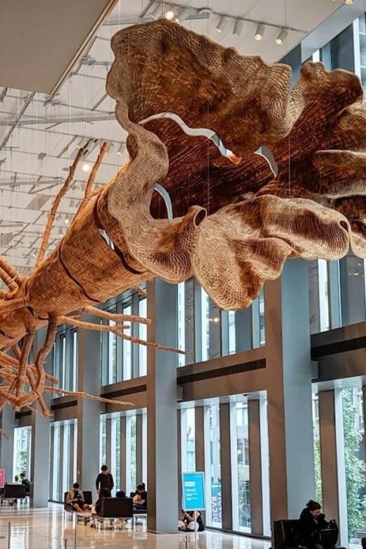 Seattle: Seattle Art Museum Admission Ticket - Ticketing, Pricing, and Practical Tips
