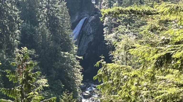 Seattle: Snoqualmie Falls and Twin Falls Guided Tour - Authentic Insights from Reviews