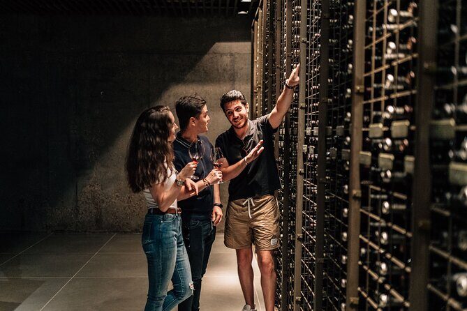 Segovia & Ribera del Duero Winery with Wine Tasting from Madrid - Who Will Enjoy This Tour?