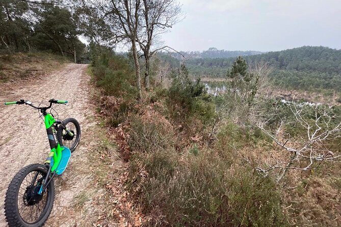 Seignosse electric scooter excursion - The Experience: What to Expect from the Seignosse Electric Scooter Tour