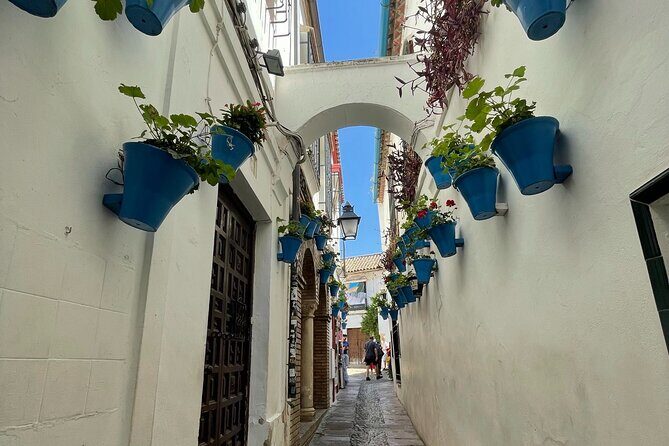 Semi Private Tour to Córdoba from Nerja - Authentic Experiences and Feedback from Travelers