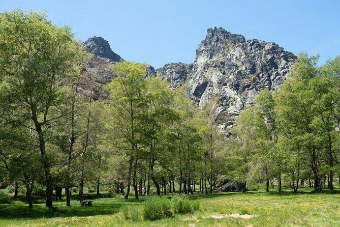 SERRA DA ESTRELA - Excursão com degustação de queijo da serra - FAQs
