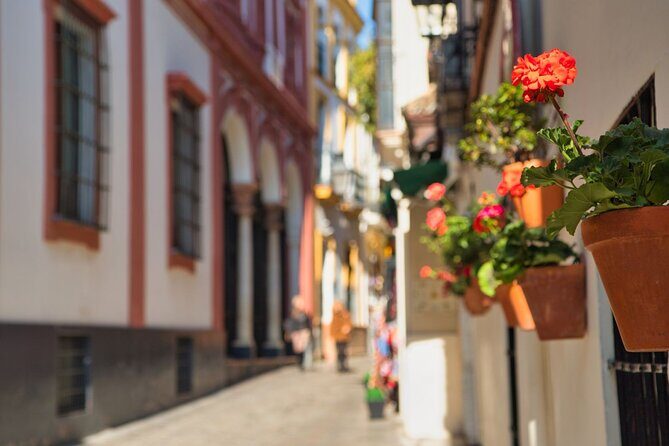 Seville Day Trip with Cathedral Entrance from Malaga - FAQs