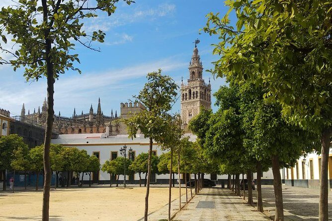 Seville Highlights Private Walking Tour - Final Thoughts