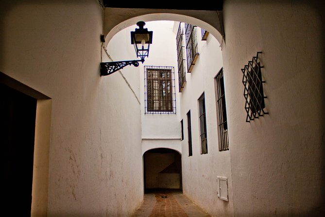 Seville in a Day: Private Tour Vip - Authentic Experiences and Local Insights