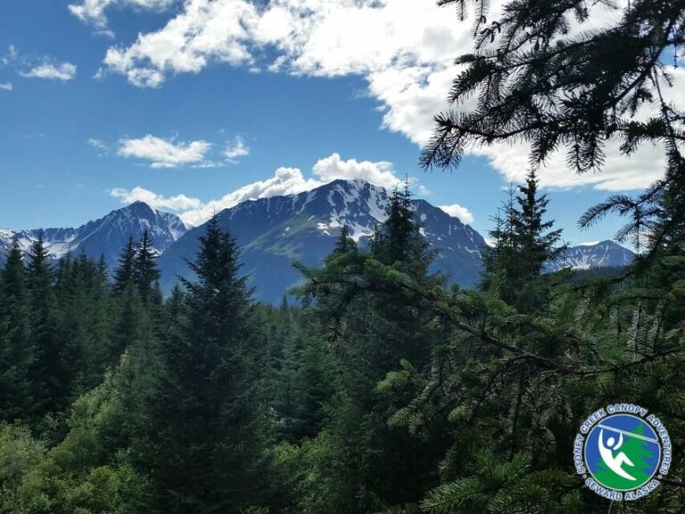 Seward: Stoney Creek Canopy Tour with Zipline - Who Is This Tour Best Suited For?