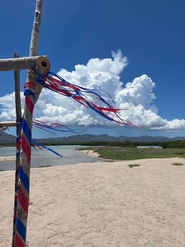 Shark Island: Tour of the largest island in Mexico - Exploring the Details of Shark Island Tour