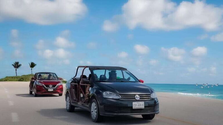 Shore Excursion: Buggy Tour with Mayan Ruins & Beach Time - What This Tour Means for You