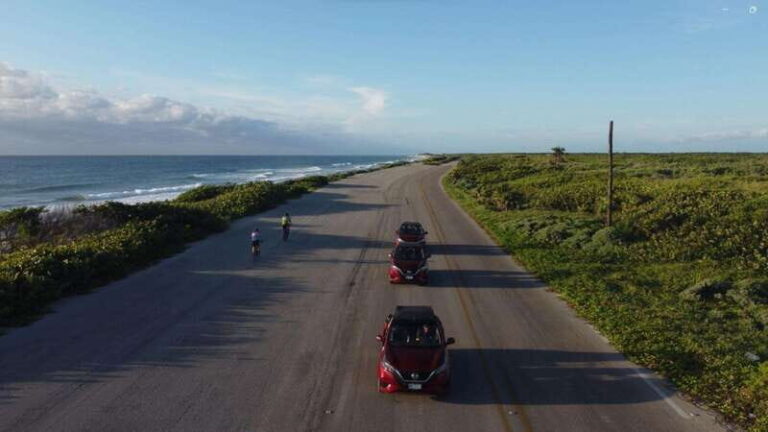 Shore Excursion: Cozumel Island Buggy Tour & Beach Visit - Real Traveler Insights & Tips