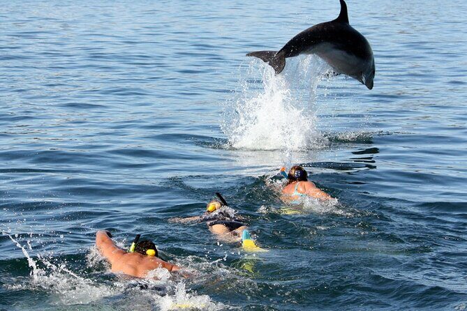 Side Dolphin Island Boat Trip With Lunch And Hotel Transfer - Detailed Itinerary Breakdown