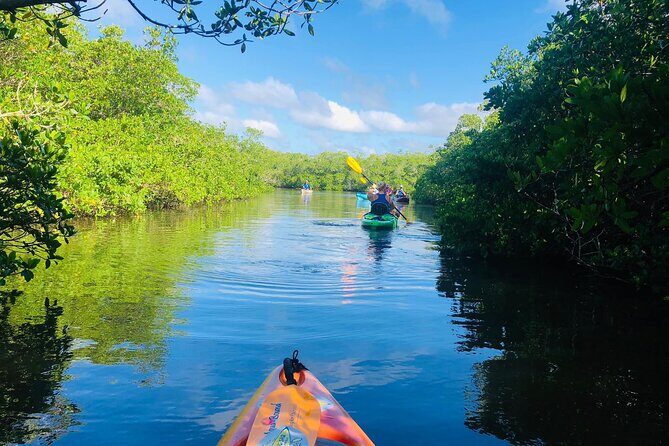 Siesta Key Guided Eco Tour - Detailed Tour Breakdown