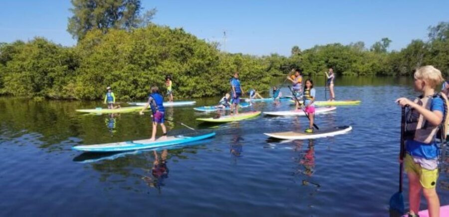 Siesta Key: Mangrove Kayak or Paddleboard Tour - Authentic Experiences and Honest Insights from Reviews