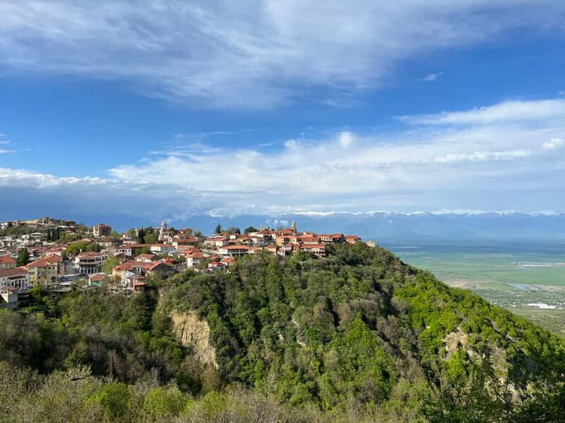 Sighnaghi Day Trip with wine tasting and Bodbe Monastery - What Really Makes This Tour Worth It